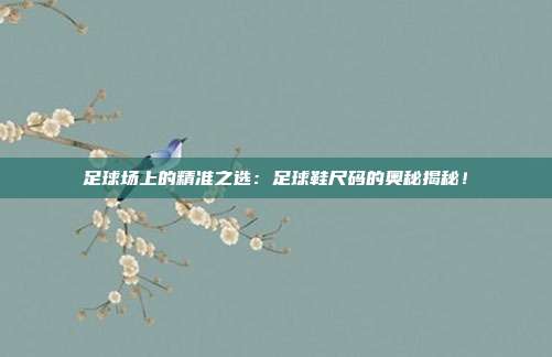 足球场上的精准之选：足球鞋尺码的奥秘揭秘！