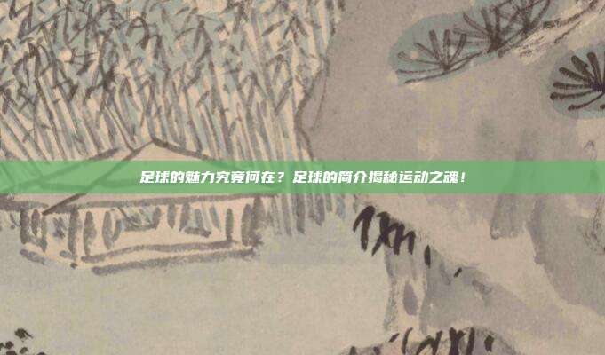足球的魅力究竟何在？足球的简介揭秘运动之魂！