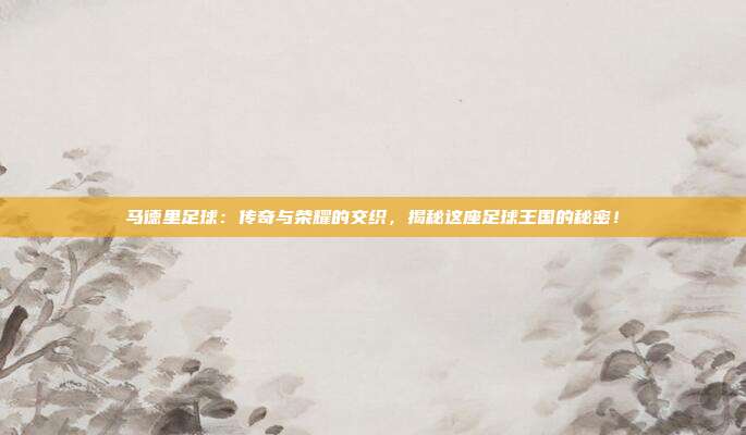 马德里足球：传奇与荣耀的交织，揭秘这座足球王国的秘密！