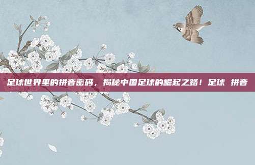 足球世界里的拼音密码，揭秘中国足球的崛起之路！足球 拼音