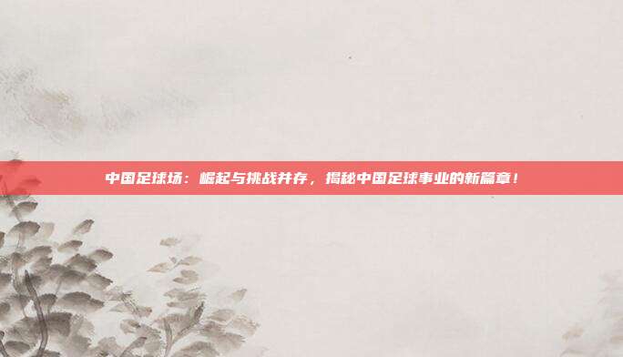 中国足球场：崛起与挑战并存，揭秘中国足球事业的新篇章！