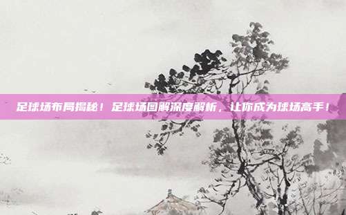 足球场布局揭秘！足球场图解深度解析，让你成为球场高手！