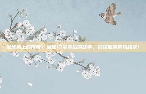 足球场上的传奇！足球12号背后的故事，揭秘他的成功秘诀！