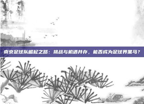 南京足球队崛起之路：挑战与机遇并存，能否成为足球界黑马？