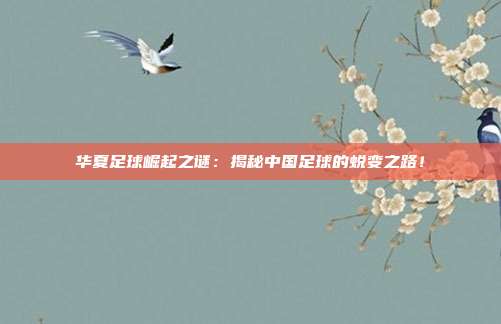 华夏足球崛起之谜：揭秘中国足球的蜕变之路！