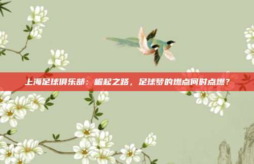 上海足球俱乐部：崛起之路，足球梦的燃点何时点燃？
