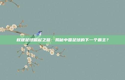 权健足球崛起之路：揭秘中国足球的下一个霸主？