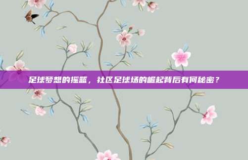 足球梦想的摇篮，社区足球场的崛起背后有何秘密？