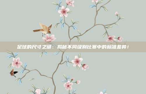 足球的尺寸之谜：揭秘不同级别比赛中的标准差异！