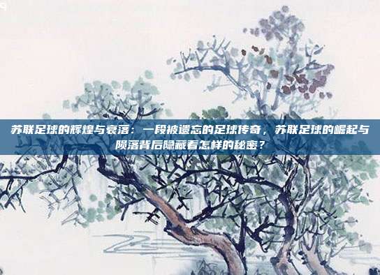 苏联足球的辉煌与衰落：一段被遗忘的足球传奇，苏联足球的崛起与陨落背后隐藏着怎样的秘密？