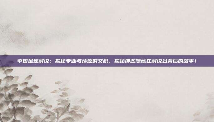中国足球解说：揭秘专业与情感的交织，揭秘那些隐藏在解说台背后的故事！