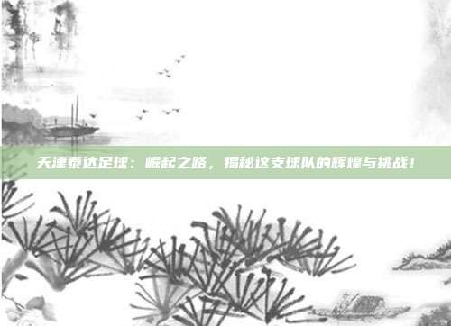 天津泰达足球：崛起之路，揭秘这支球队的辉煌与挑战！
