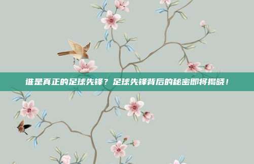 谁是真正的足球先锋？足球先锋背后的秘密即将揭晓！