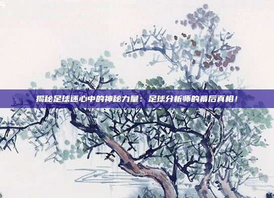 揭秘足球迷心中的神秘力量：足球分析师的幕后真相！