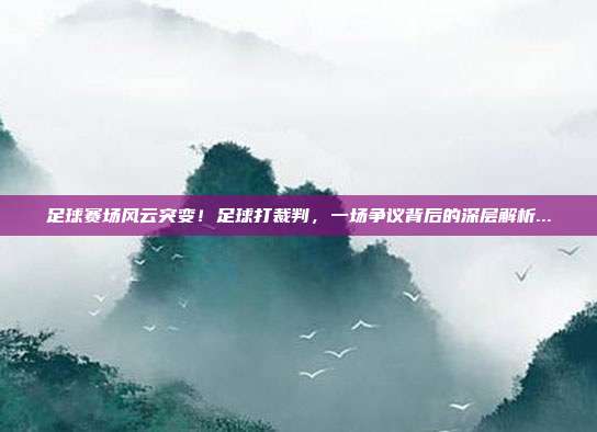 足球赛场风云突变！足球打裁判，一场争议背后的深层解析...