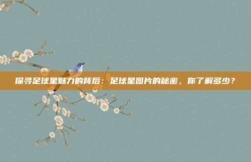 探寻足球星魅力的背后：足球星图片的秘密，你了解多少？