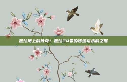 足球场上的传奇！足球24号的辉煌与未解之谜