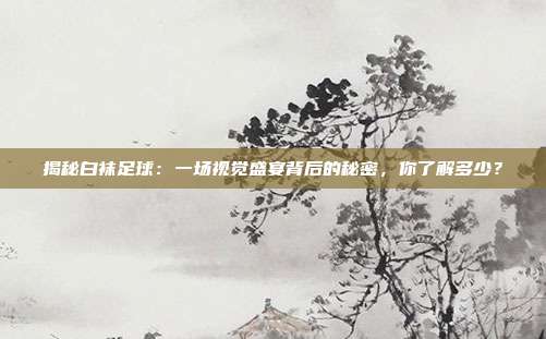 揭秘白袜足球：一场视觉盛宴背后的秘密，你了解多少？