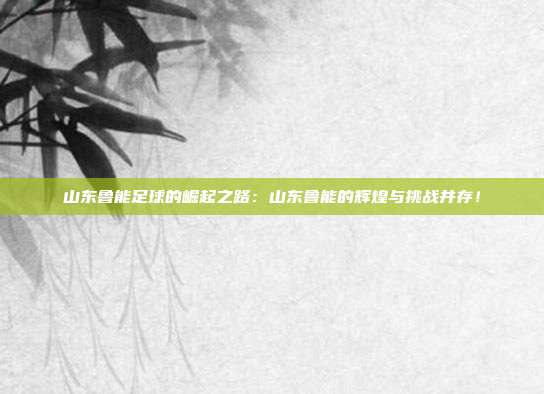 山东鲁能足球的崛起之路：山东鲁能的辉煌与挑战并存！