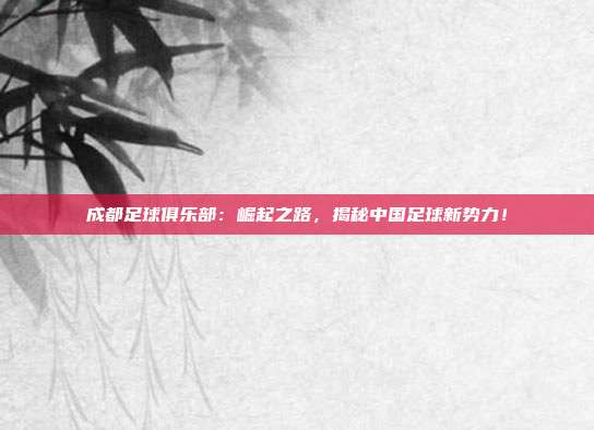 成都足球俱乐部：崛起之路，揭秘中国足球新势力！