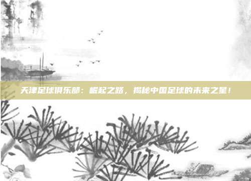 天津足球俱乐部：崛起之路，揭秘中国足球的未来之星！