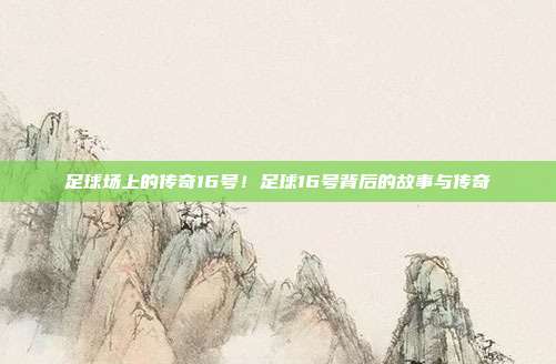 足球场上的传奇16号！足球16号背后的故事与传奇