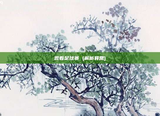 观看足球赛 (解析异常)