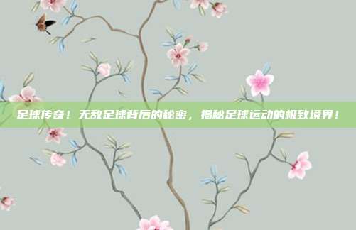 足球传奇！无敌足球背后的秘密，揭秘足球运动的极致境界！