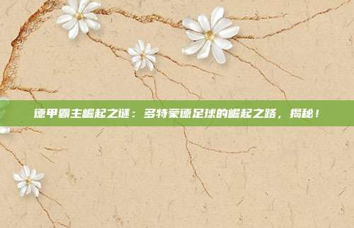 德甲霸主崛起之谜：多特蒙德足球的崛起之路，揭秘！