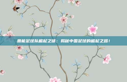 鲁能足球队崛起之谜：揭秘中国足球的崛起之路！