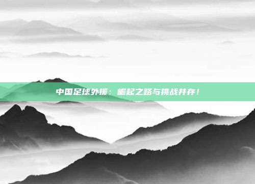 中国足球外援：崛起之路与挑战并存！