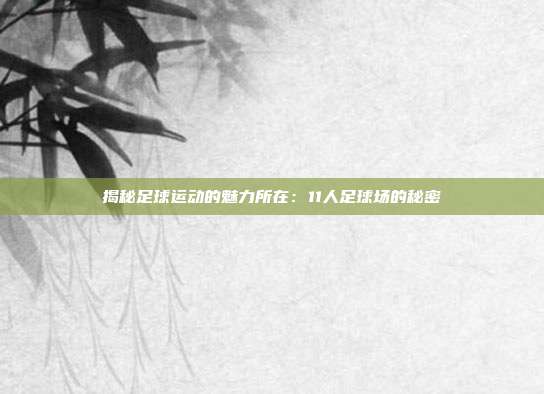 揭秘足球运动的魅力所在：11人足球场的秘密