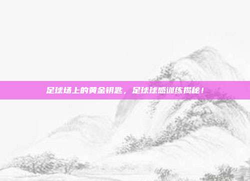 足球场上的黄金钥匙，足球球感训练揭秘！