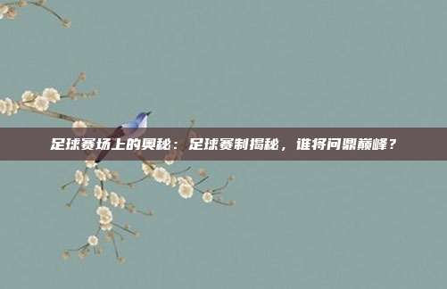 足球赛场上的奥秘：足球赛制揭秘，谁将问鼎巅峰？
