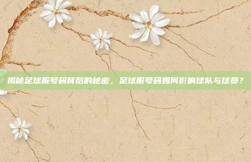 揭秘足球服号码背后的秘密，足球服号码如何影响球队与球员？