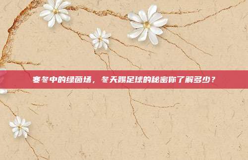 寒冬中的绿茵场，冬天踢足球的秘密你了解多少？