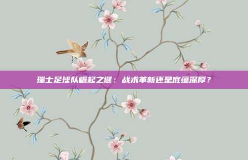 瑞士足球队崛起之谜：战术革新还是底蕴深厚？