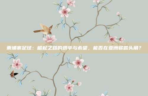 柬埔寨足球：崛起之路的艰辛与希望，能否在亚洲崭露头角？