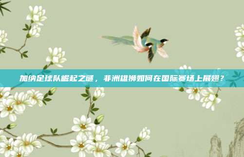 加纳足球队崛起之谜，非洲雄狮如何在国际赛场上展翅？