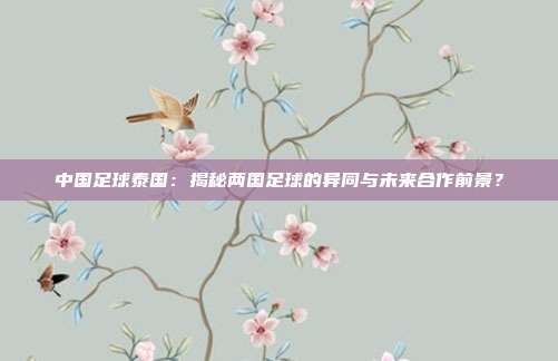 中国足球泰国：揭秘两国足球的异同与未来合作前景？