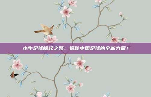 小牛足球崛起之路：揭秘中国足球的全新力量！