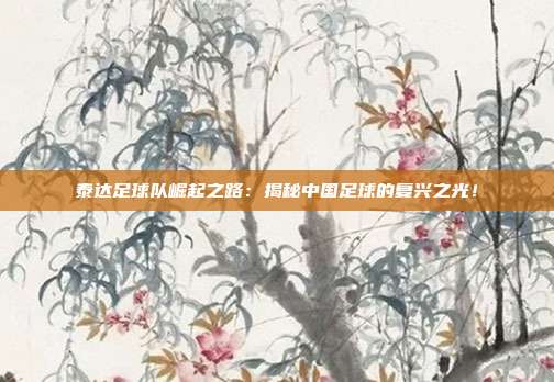 泰达足球队崛起之路：揭秘中国足球的复兴之光！