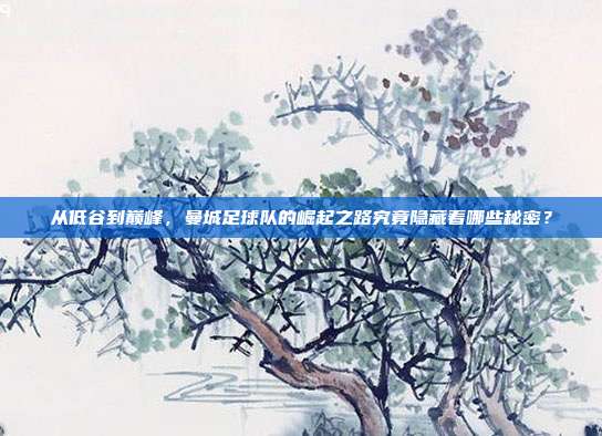 从低谷到巅峰，曼城足球队的崛起之路究竟隐藏着哪些秘密？