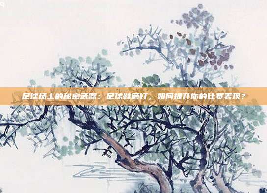 足球场上的秘密武器：足球鞋磨钉，如何提升你的比赛表现？