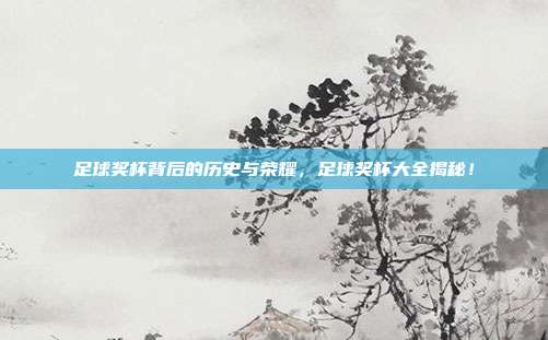 足球奖杯背后的历史与荣耀，足球奖杯大全揭秘！