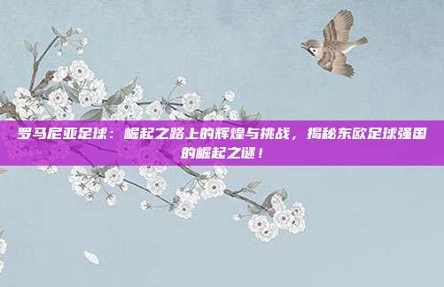 罗马尼亚足球：崛起之路上的辉煌与挑战，揭秘东欧足球强国的崛起之谜！