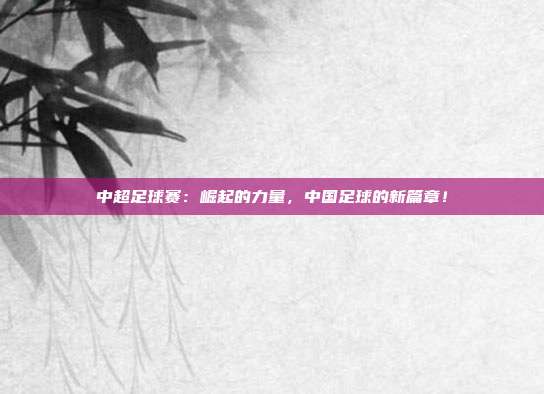 中超足球赛：崛起的力量，中国足球的新篇章！