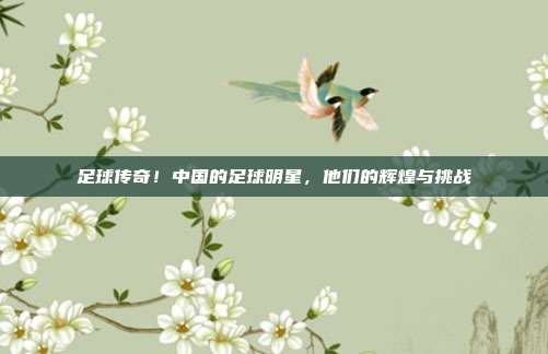 足球传奇！中国的足球明星，他们的辉煌与挑战