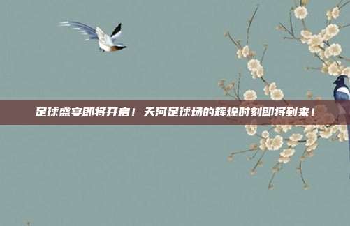足球盛宴即将开启！天河足球场的辉煌时刻即将到来！