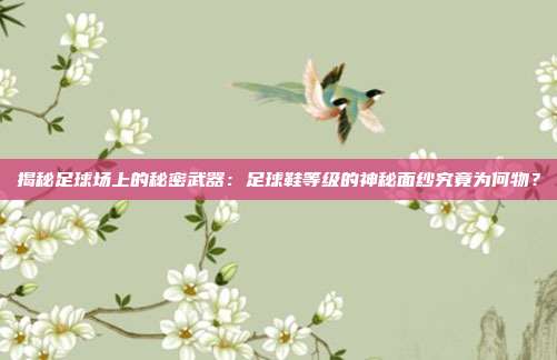 揭秘足球场上的秘密武器：足球鞋等级的神秘面纱究竟为何物？